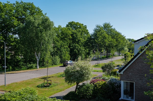 Medium property photo - Diepsloot 4, 9481 JK Vries